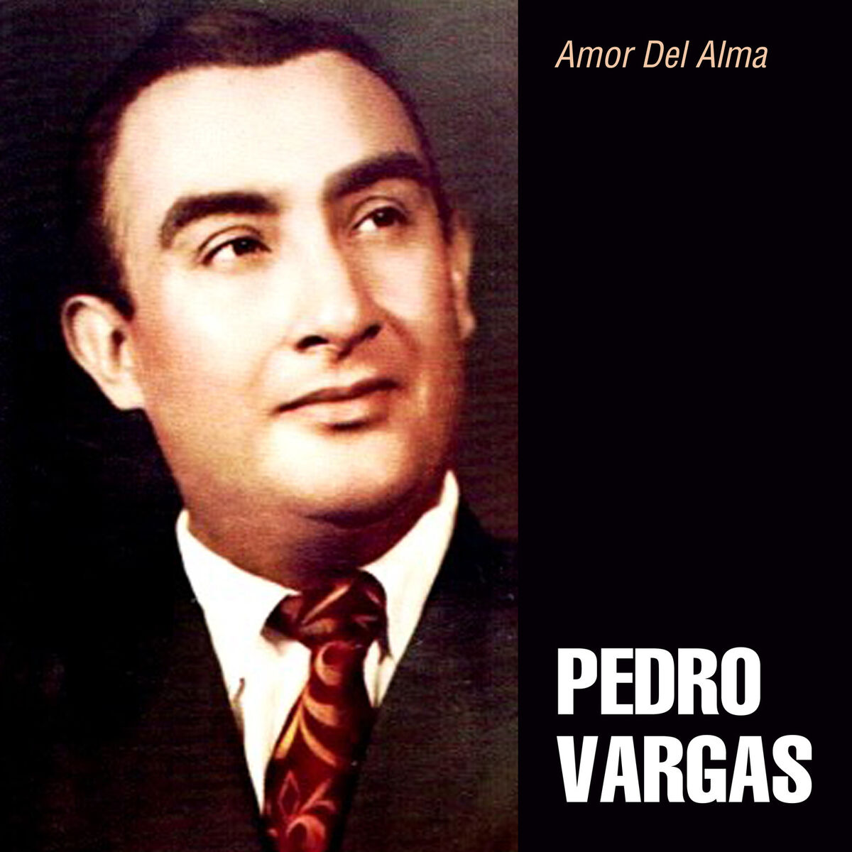 Album cover of Amor del Alma