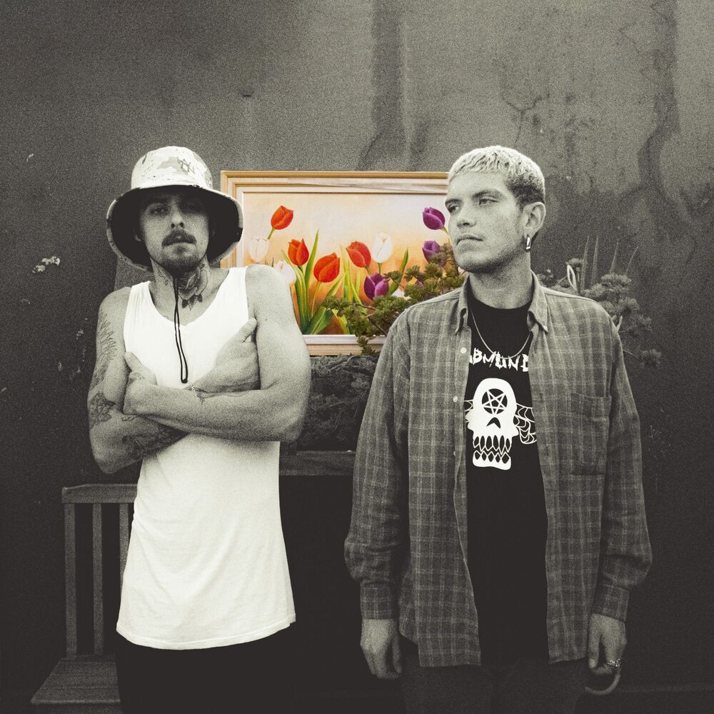 Picture of Flores Num Quadro