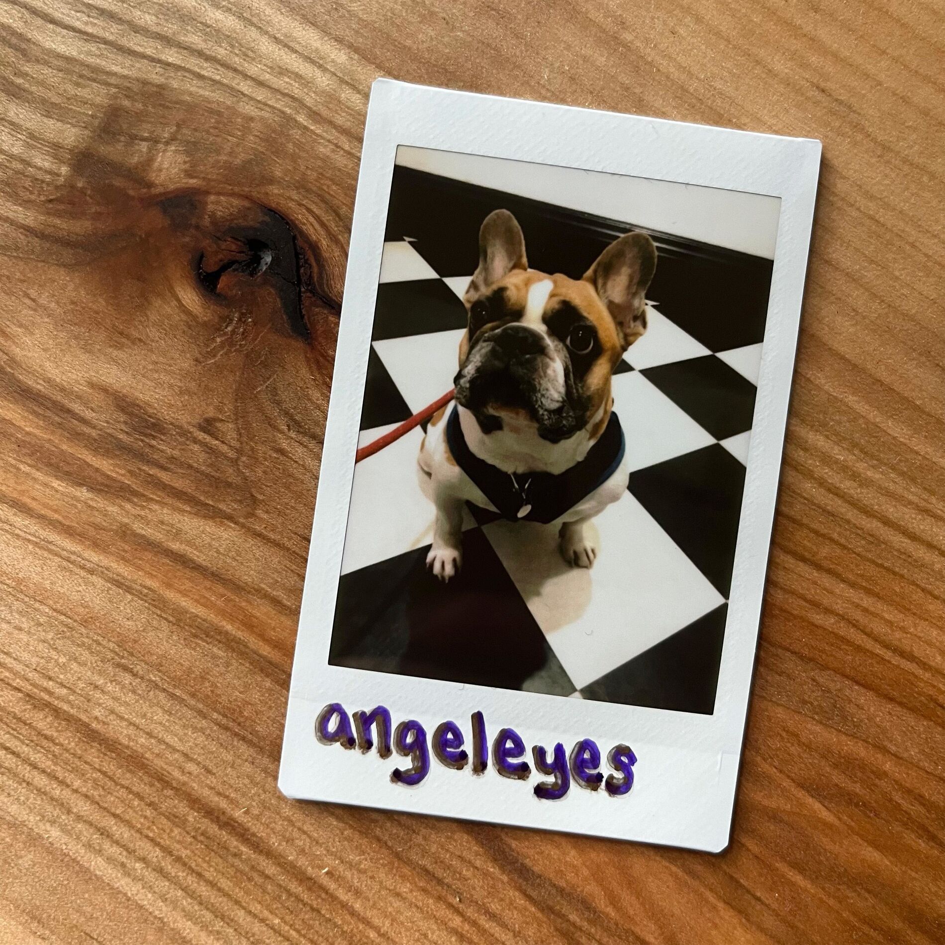 Album cover of angeleyes (feat. Lou Roy)
