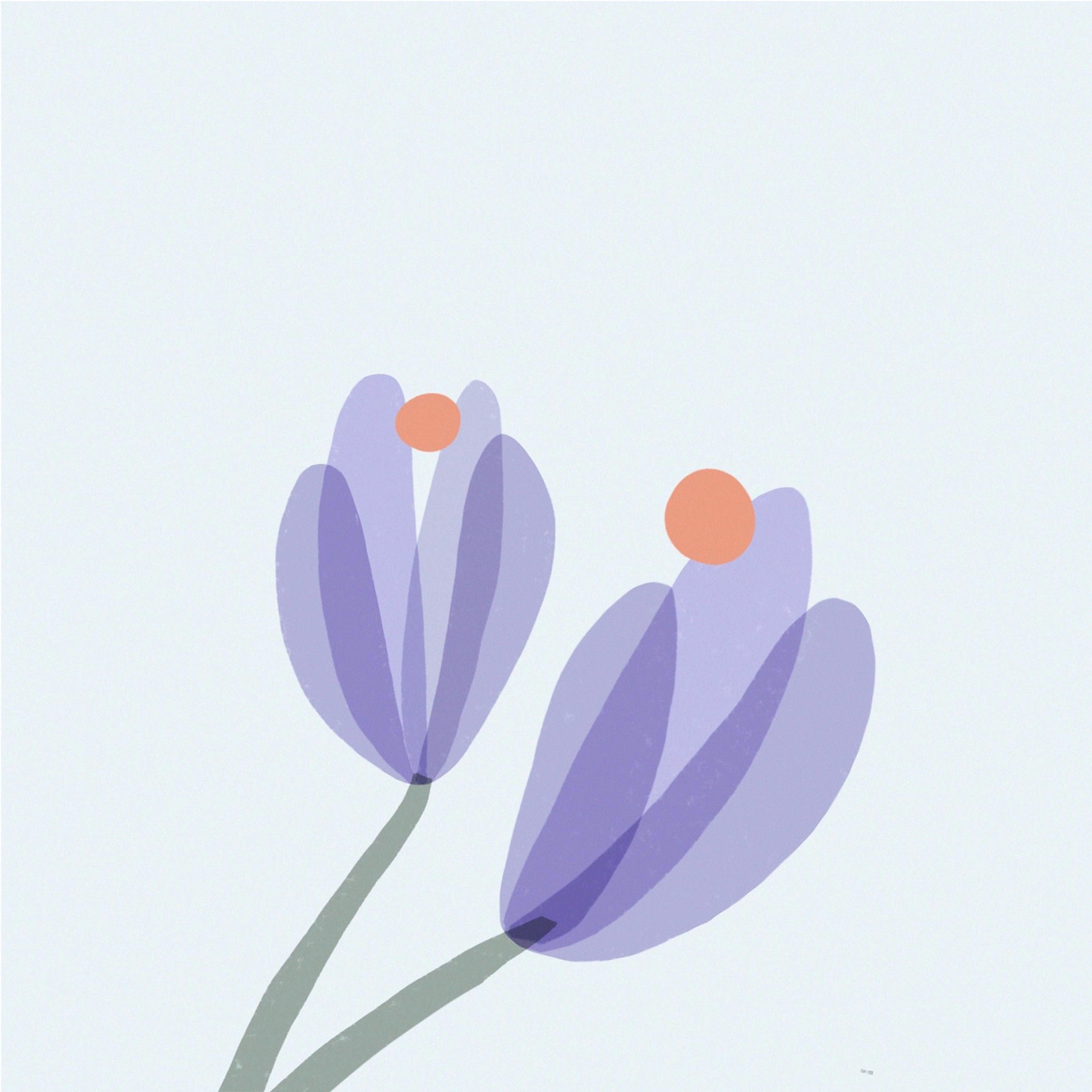 Album cover of daisy