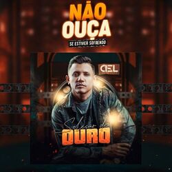 Cover of Não Ouça Se Estiver Sofrendo: Seleção de Ouro