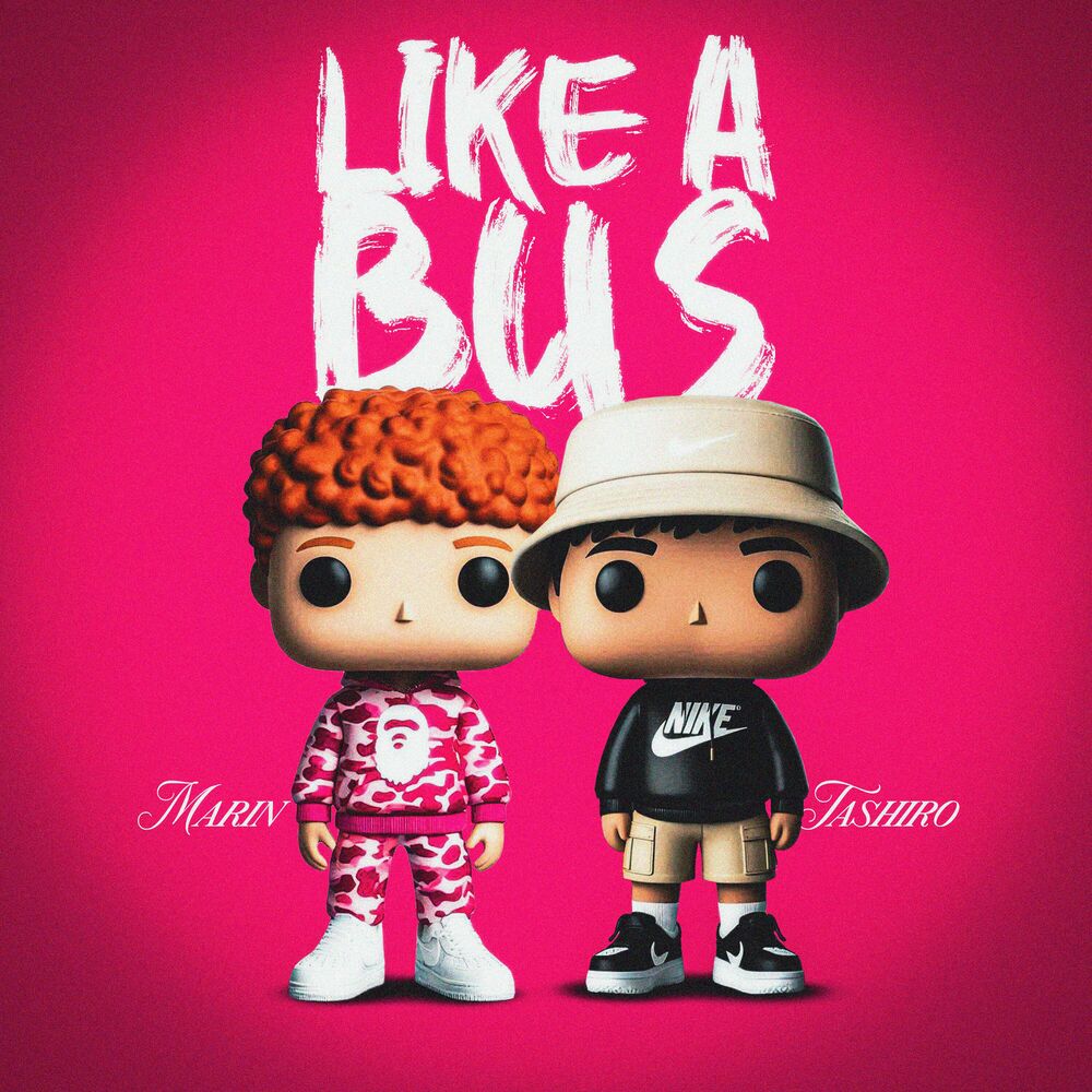 Picture of Like a Bus