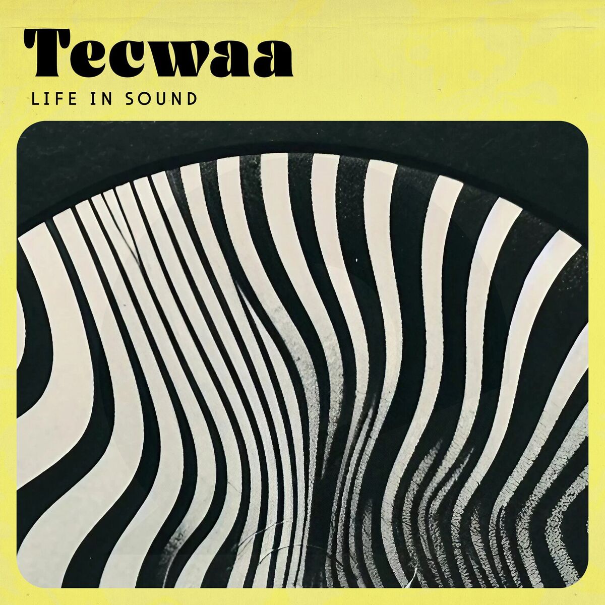 Tecwaa / Cï / Xentæh Tecwaa / Cï / Xentæh