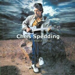 Cover of One Step Ahead of the Blues