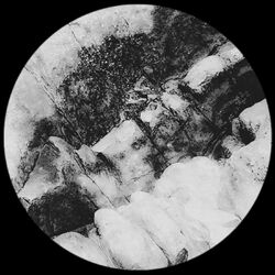 Cover of Don't You Want Me