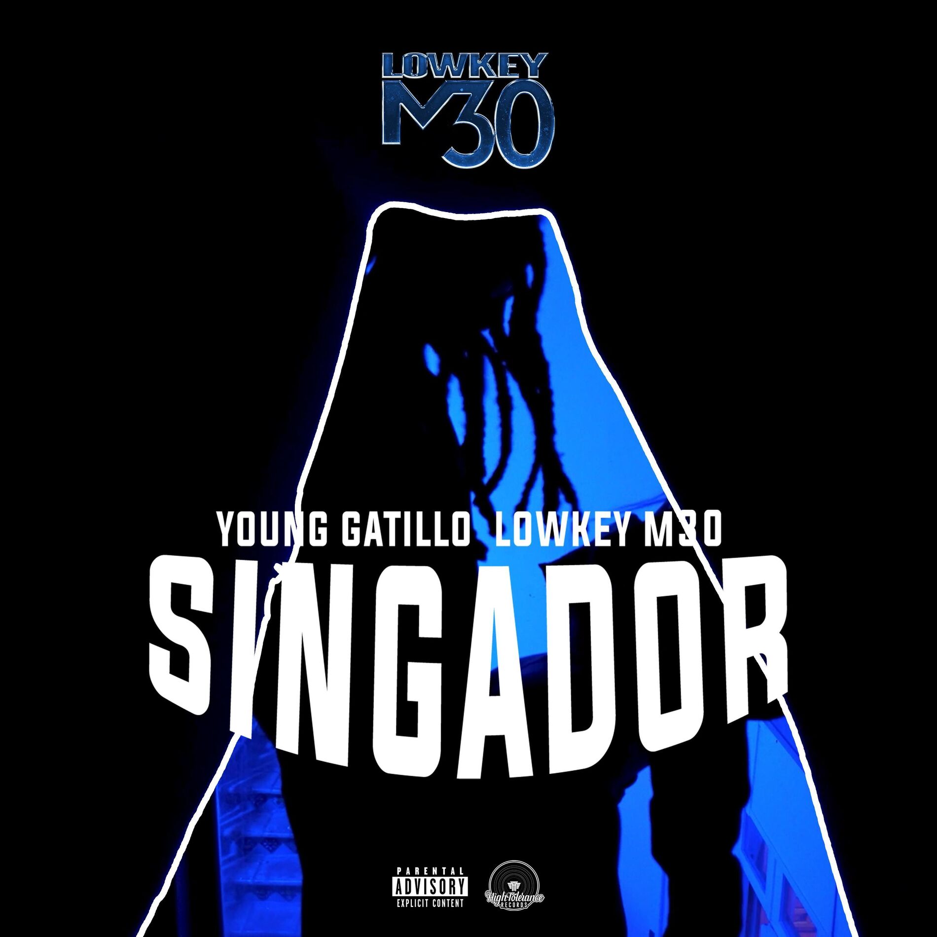 Album cover of Singador (feat. Lowkey M30 & Young Gatillo)