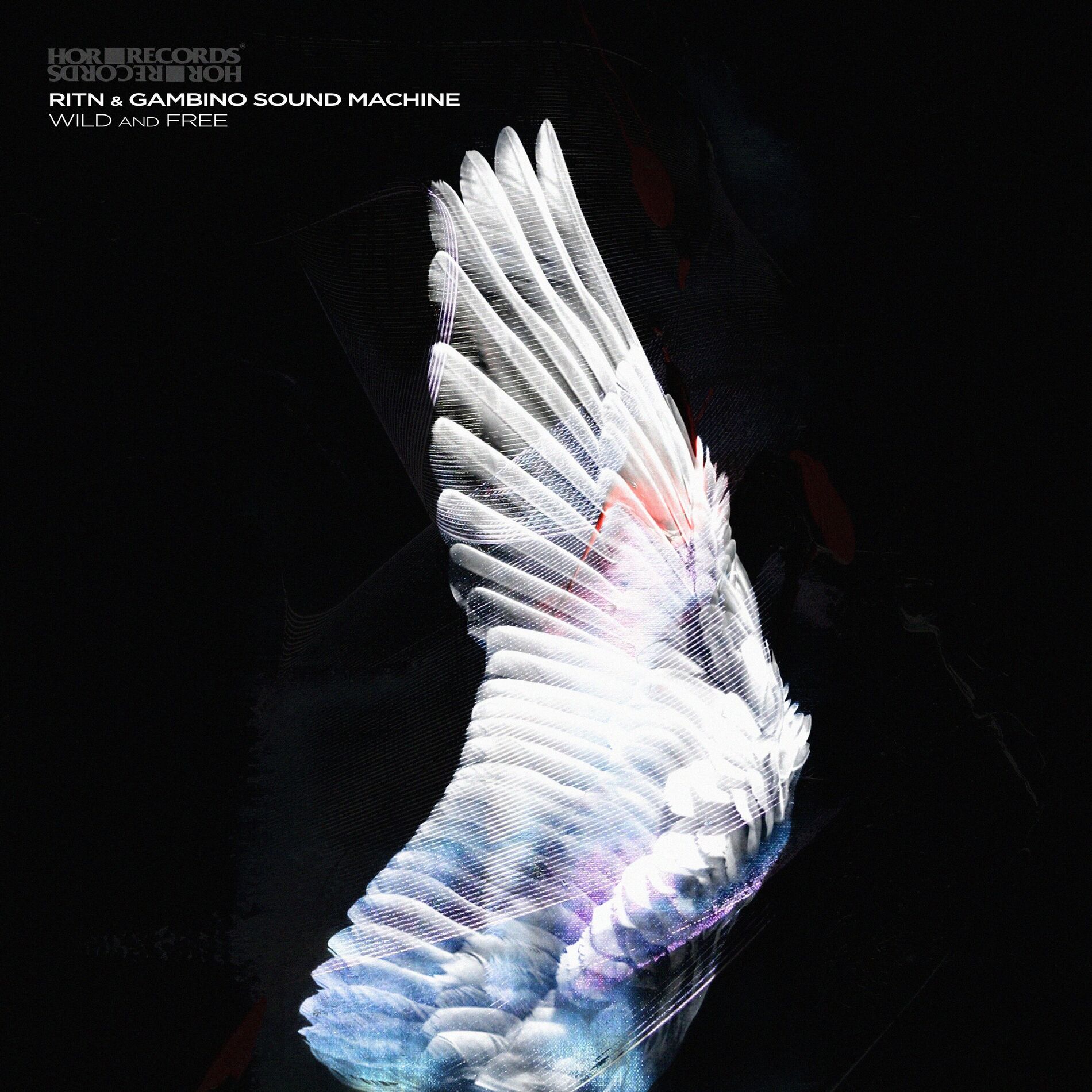 Album cover of Wild and Free