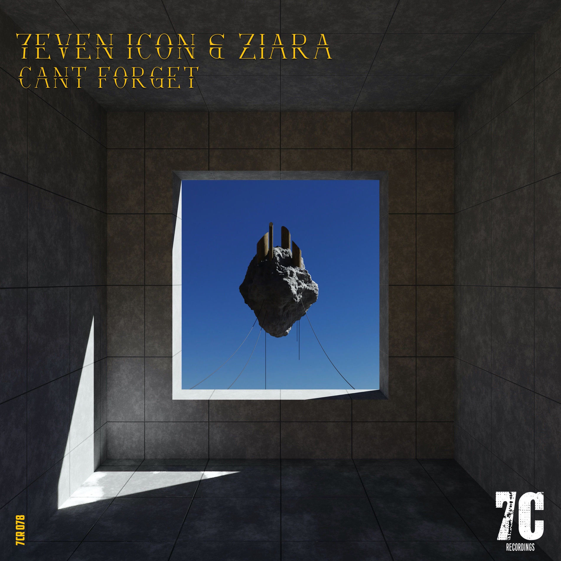 Album cover of Cant Forget