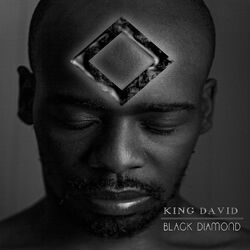 Cover of Black Diamond