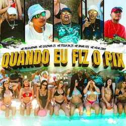 Cover of Quando eu Fiz o Pix