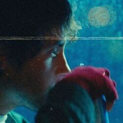 Window Pains