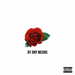 Cover of By Any Means
