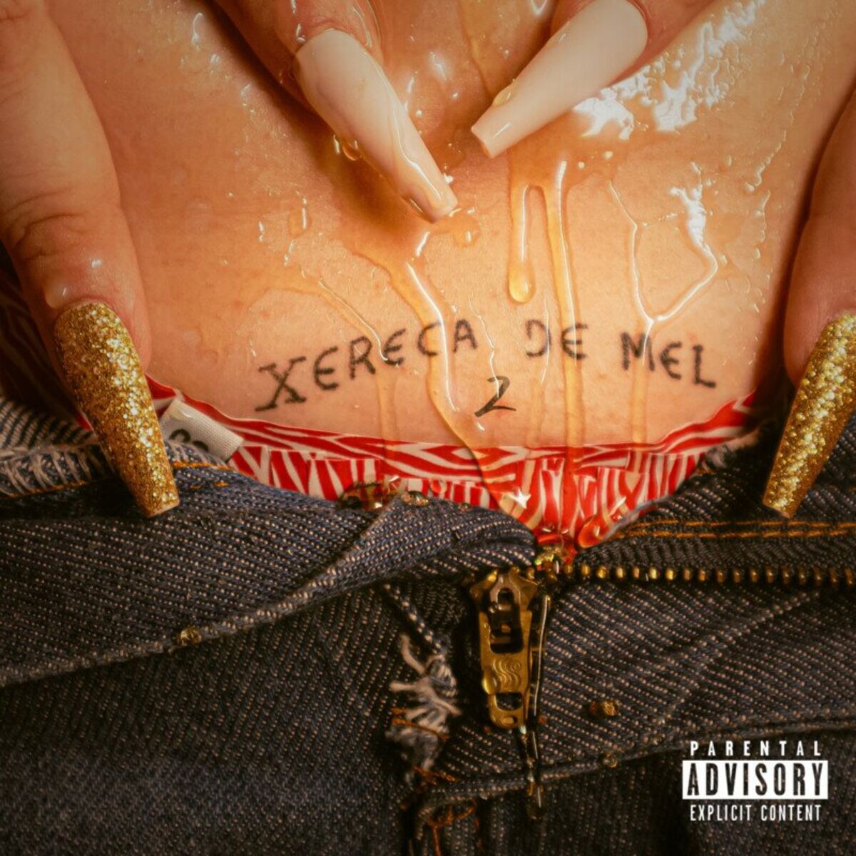 Album cover of Xereca De Mel 2