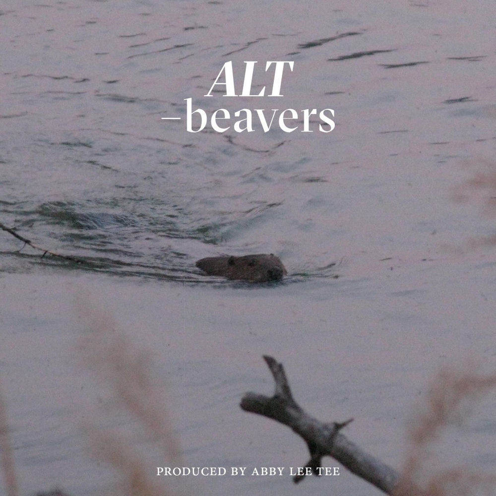 Album artwork for Beavers by alt