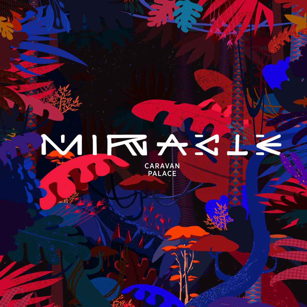 Picture of Miracle