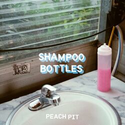 Cover of Shampoo Bottles