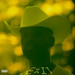 Cover of Exit