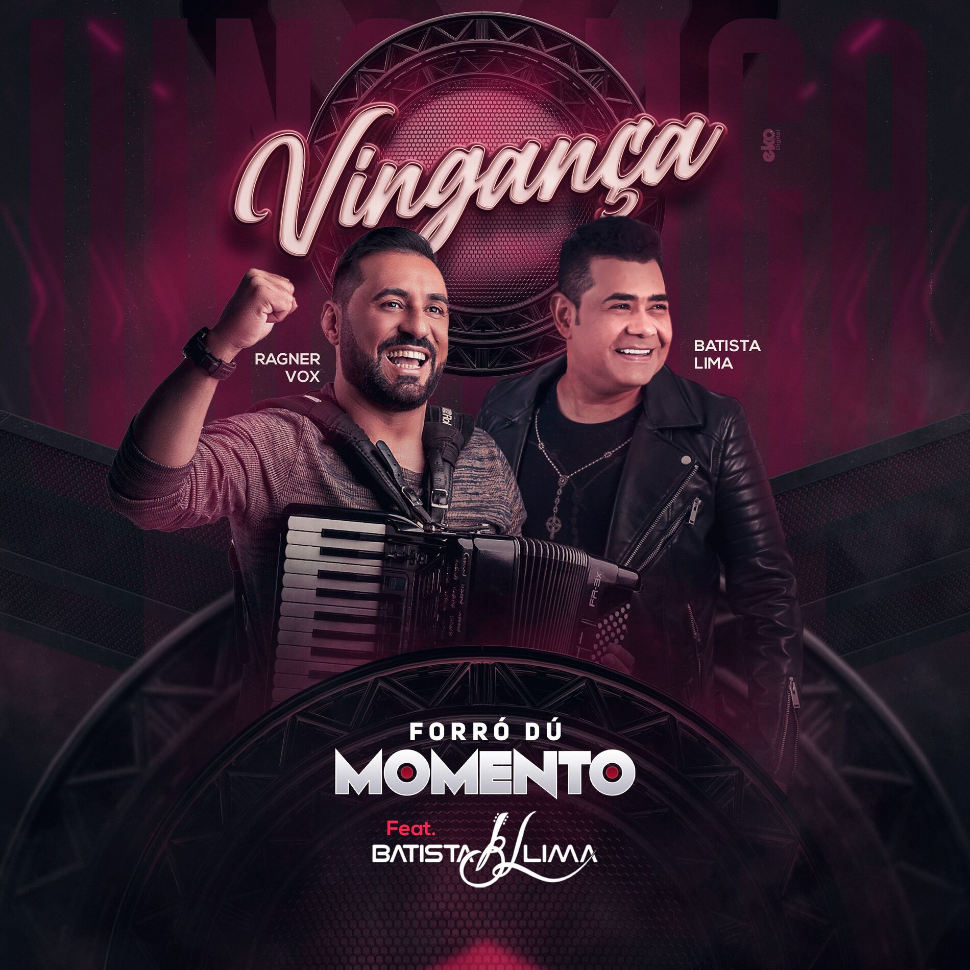 Album cover of Vingança