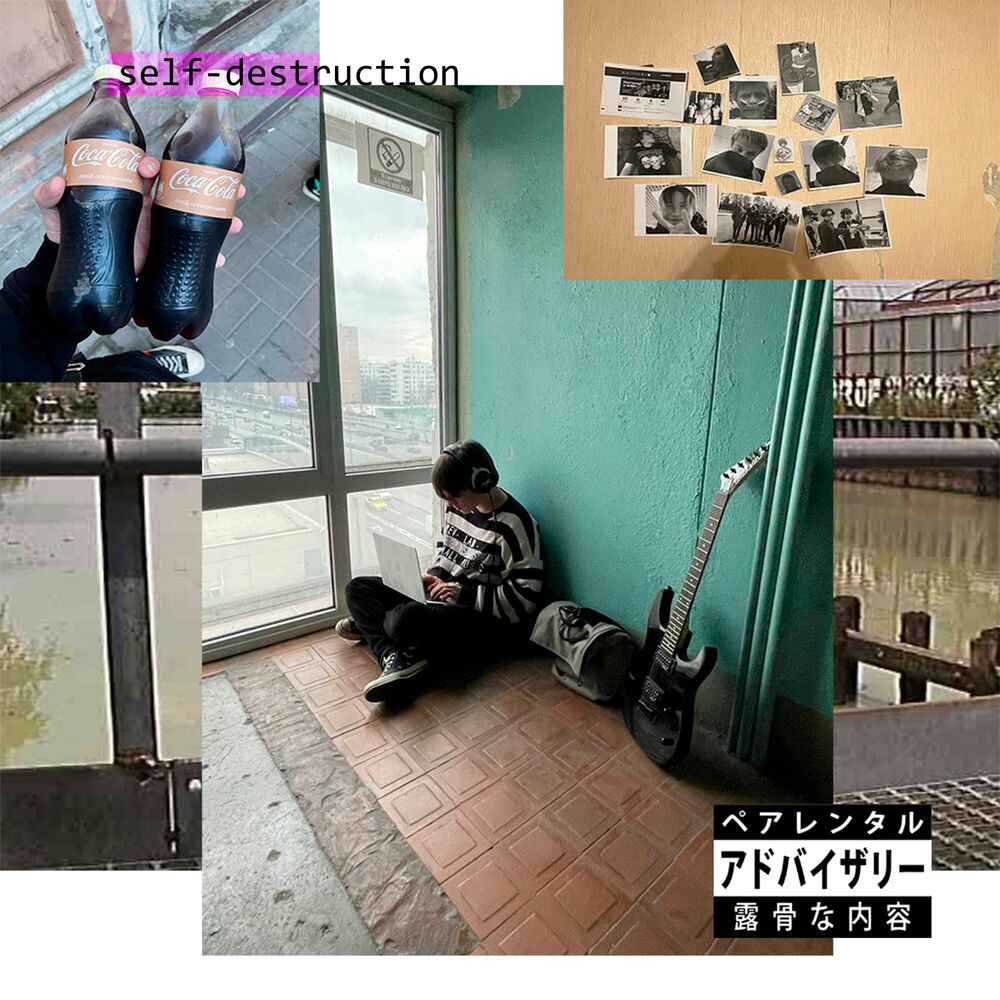 Picture of Self-destruction