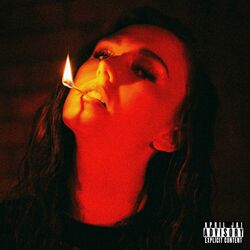Cover of Stop Fighting It