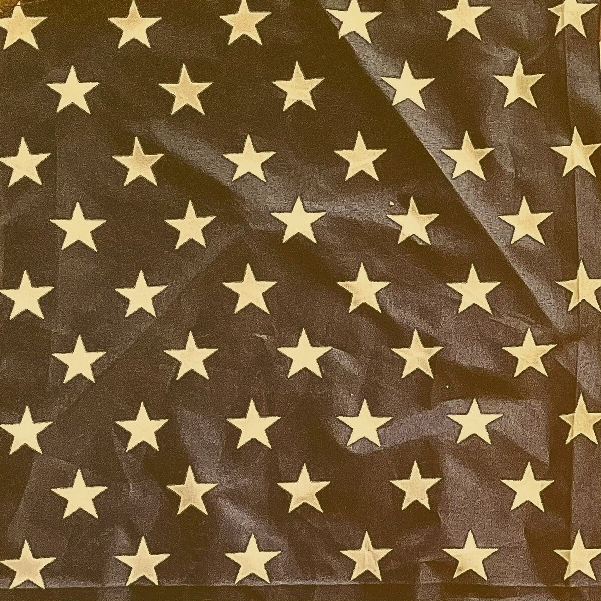 Album cover of American Freedom!
