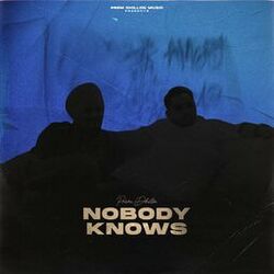 Cover of Nobody Knows