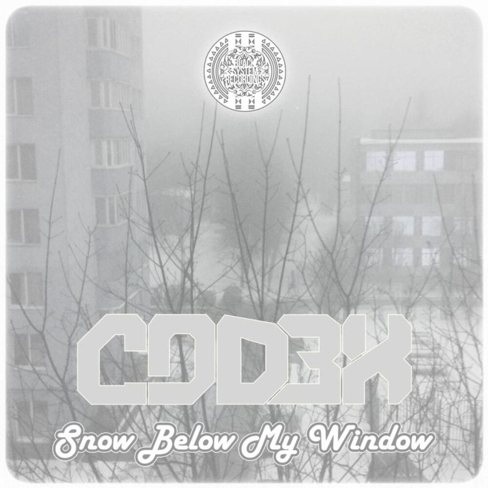 Picture of Snow Below My Window