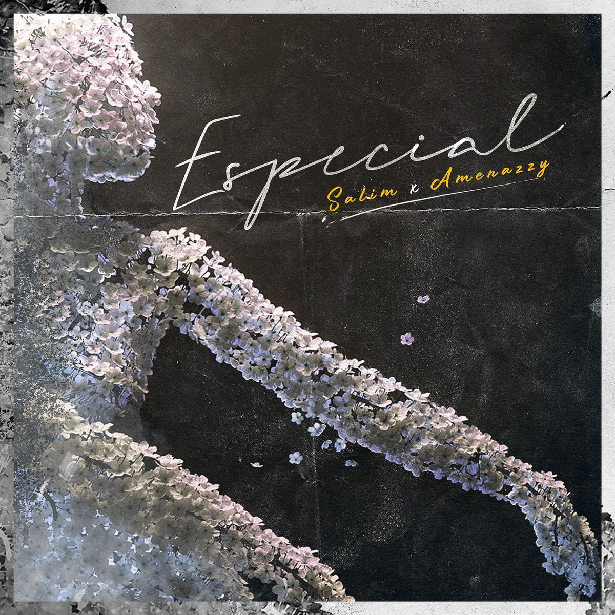 Album cover of Especial