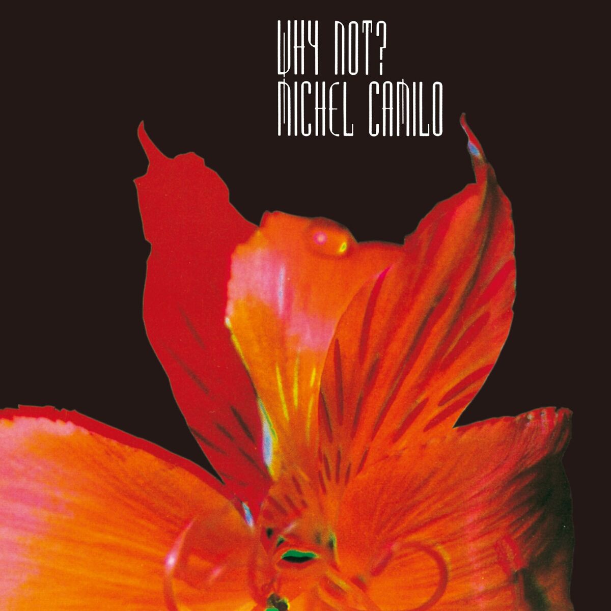 Album cover of ホワイ・ノット