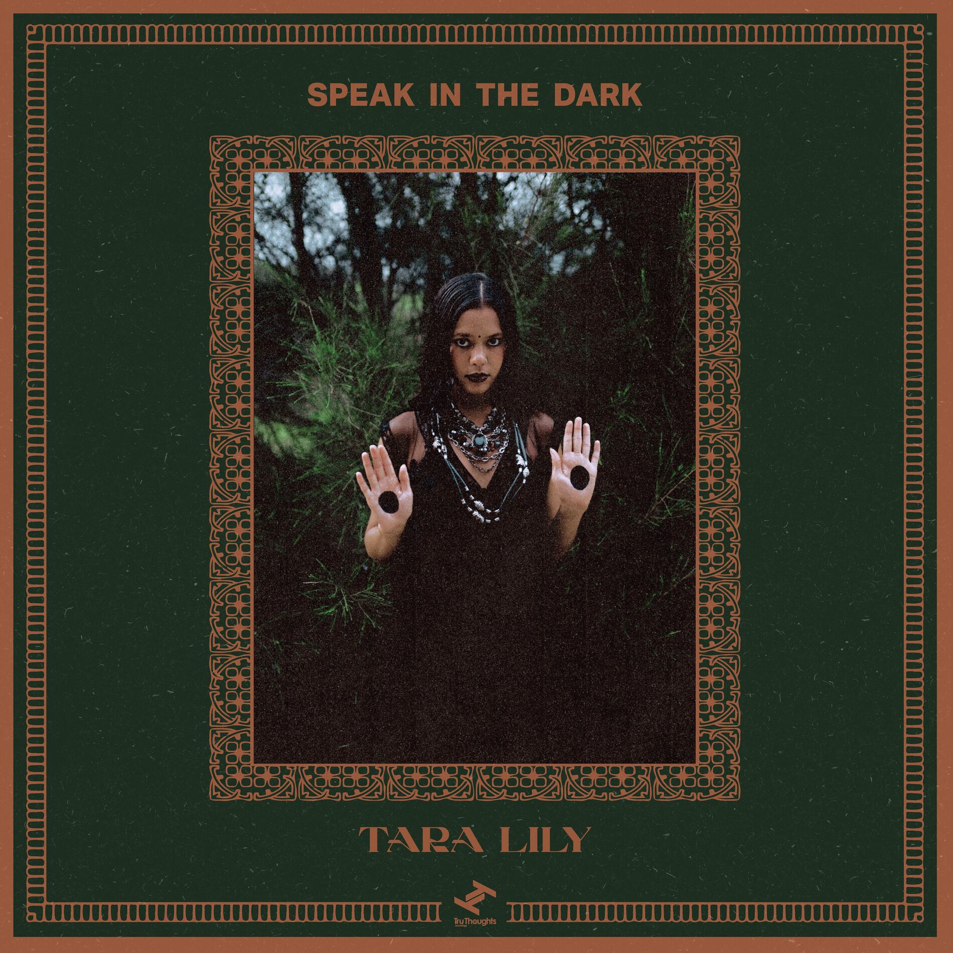 Album cover of Speak In The Dark