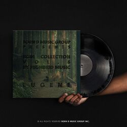 Cover of BDMG : BGM Collection Vol.6