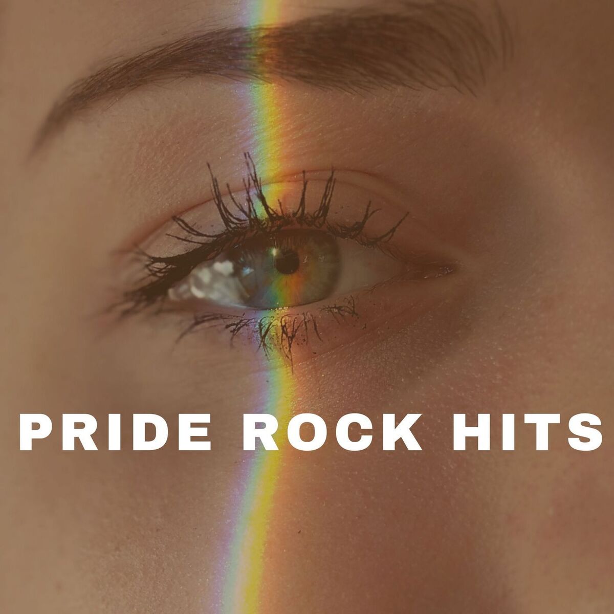 Album cover of Pride Rock Hits