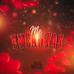 Cover of Me Encantas