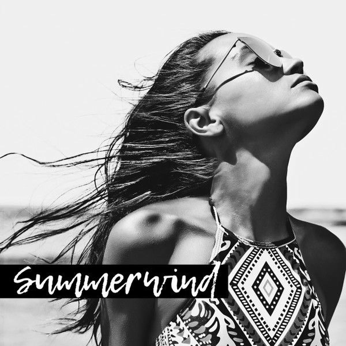 Album cover of Summerwind