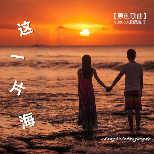 这一片海 (Live版)