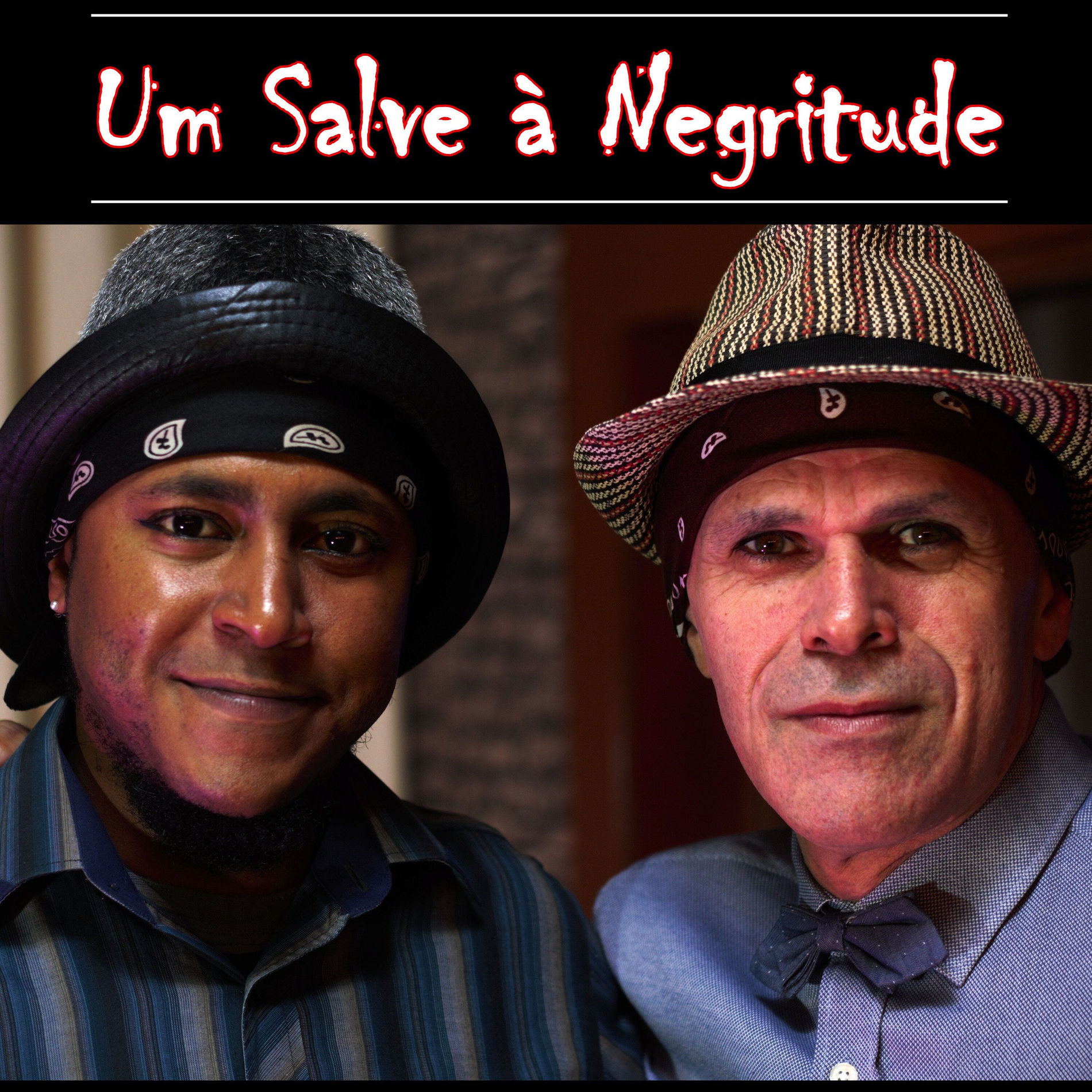 Album cover of Um Salve à Negritude