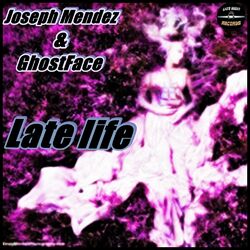 Cover of Late Life