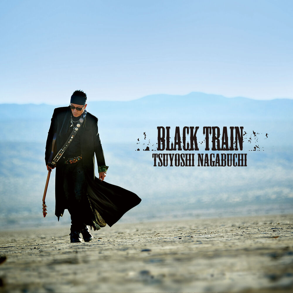 Picture of Black Train