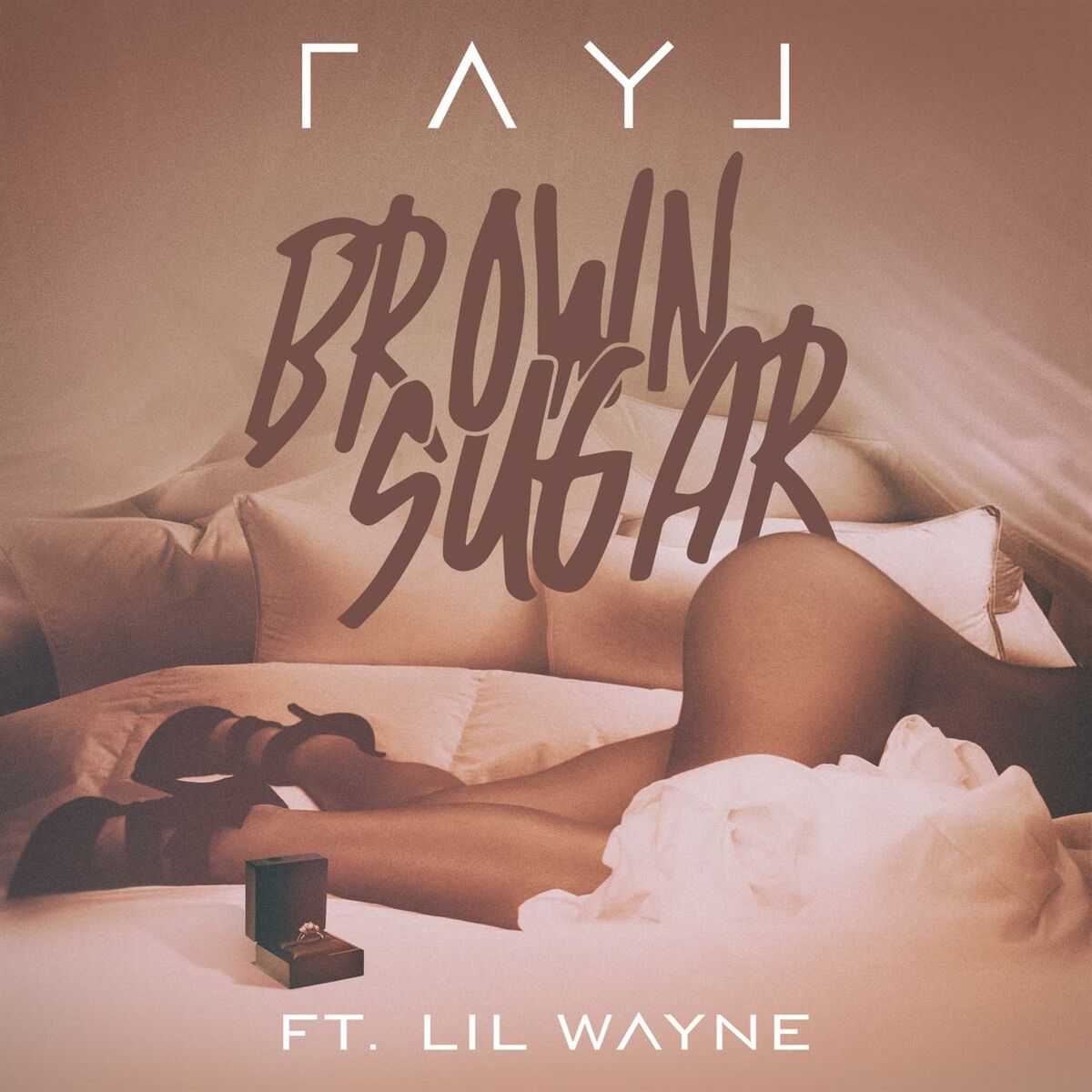Album cover of Brown Sugar (feat. Lil Wayne)