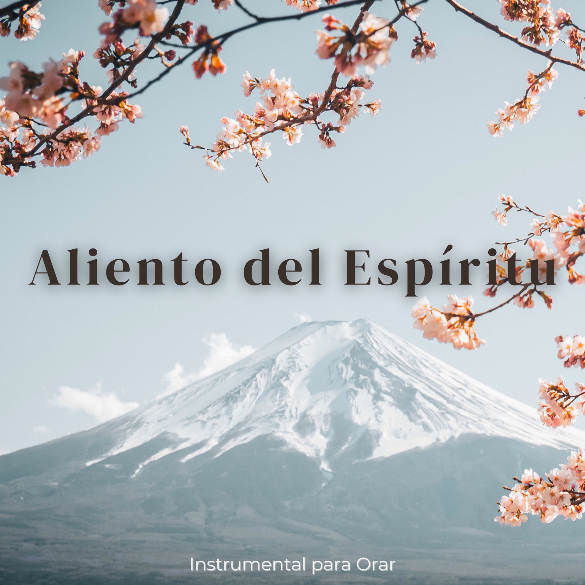 Album cover of Aliento del Espíritu