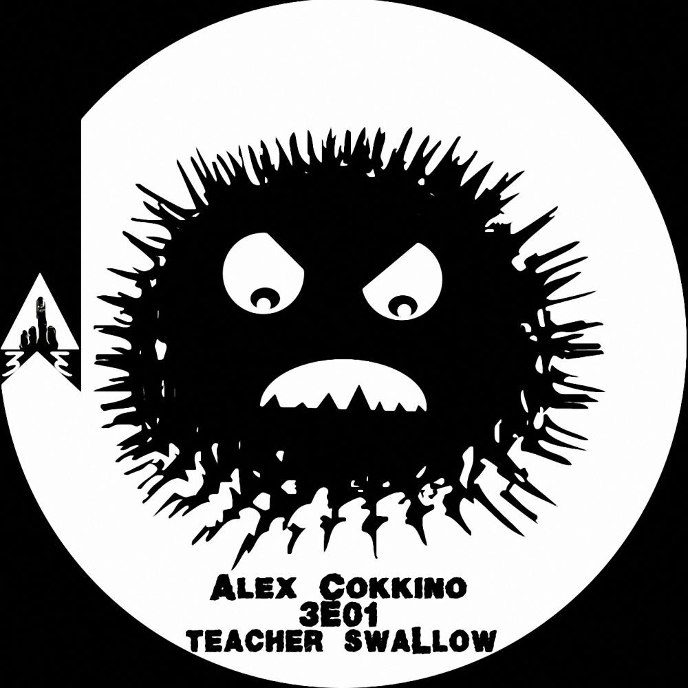Picture of Teacher Swallow