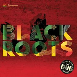 Cover of On The Ground In Dub