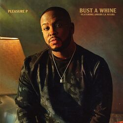 Cover of Bust A Whine