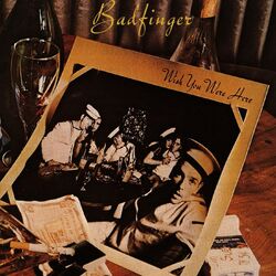 Cover of Wish You Were Here (Expanded)