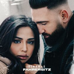 Cover of Fahrersitz