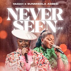 Cover of Never seen (Live)