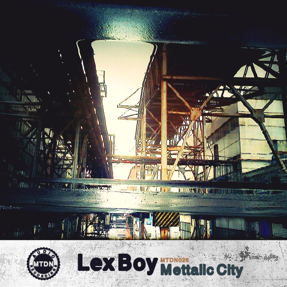 Picture of Mettalic City