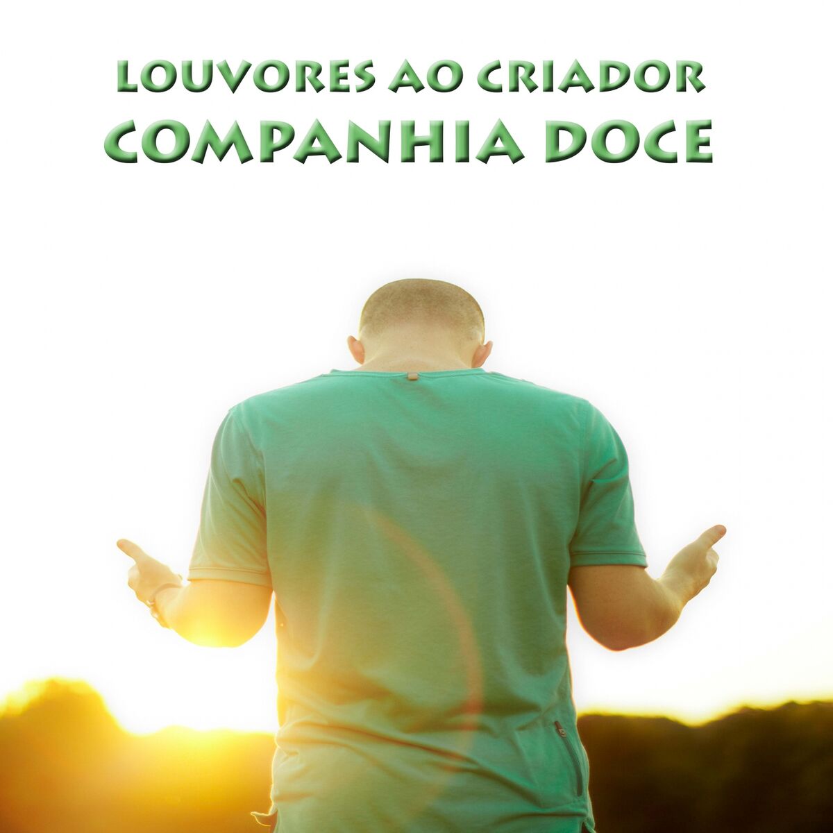 Album cover of Louvores Ao Criador