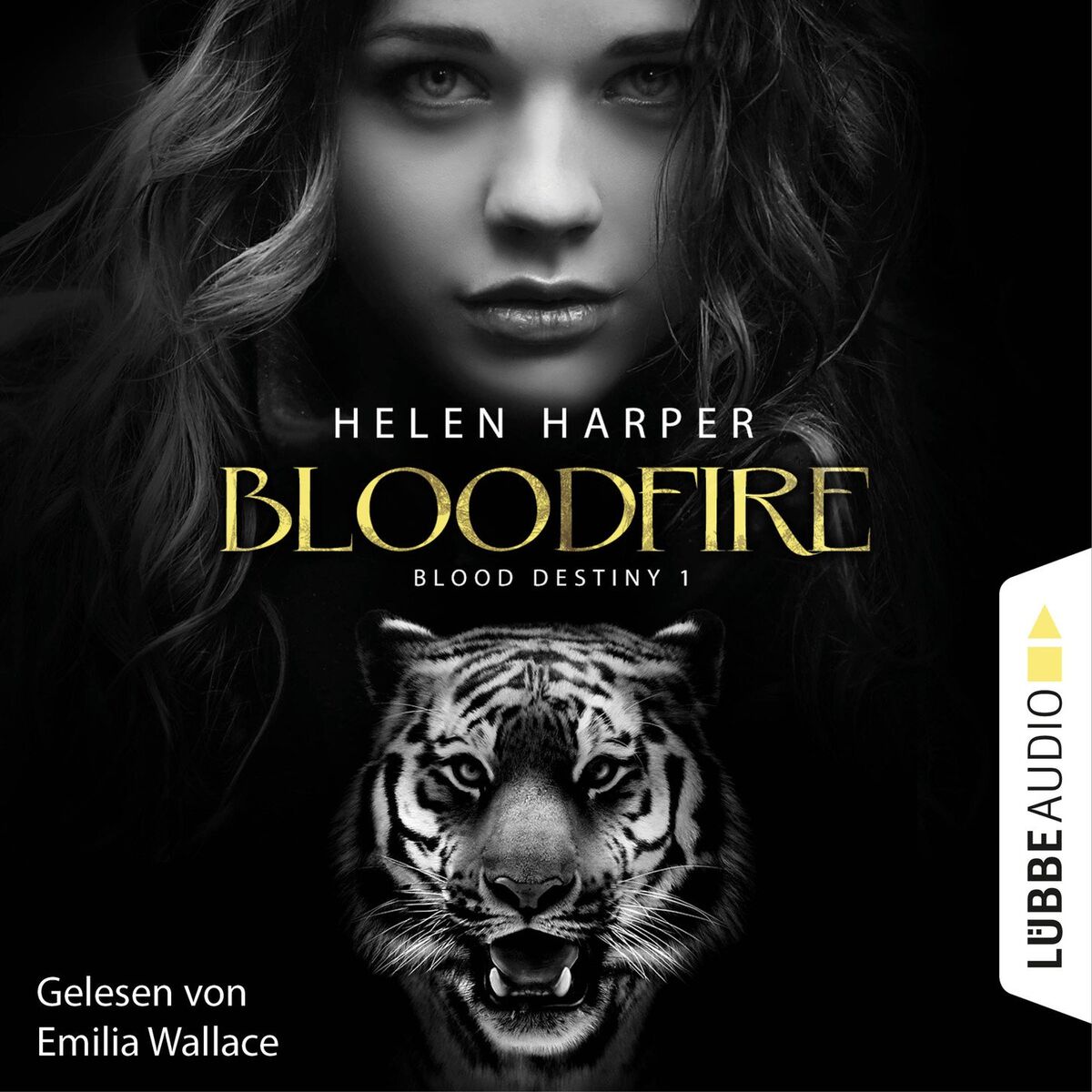Album cover of Blood Destiny - Bloodfire - Mackenzie-Smith-Serie 1 (Ungekürzt)