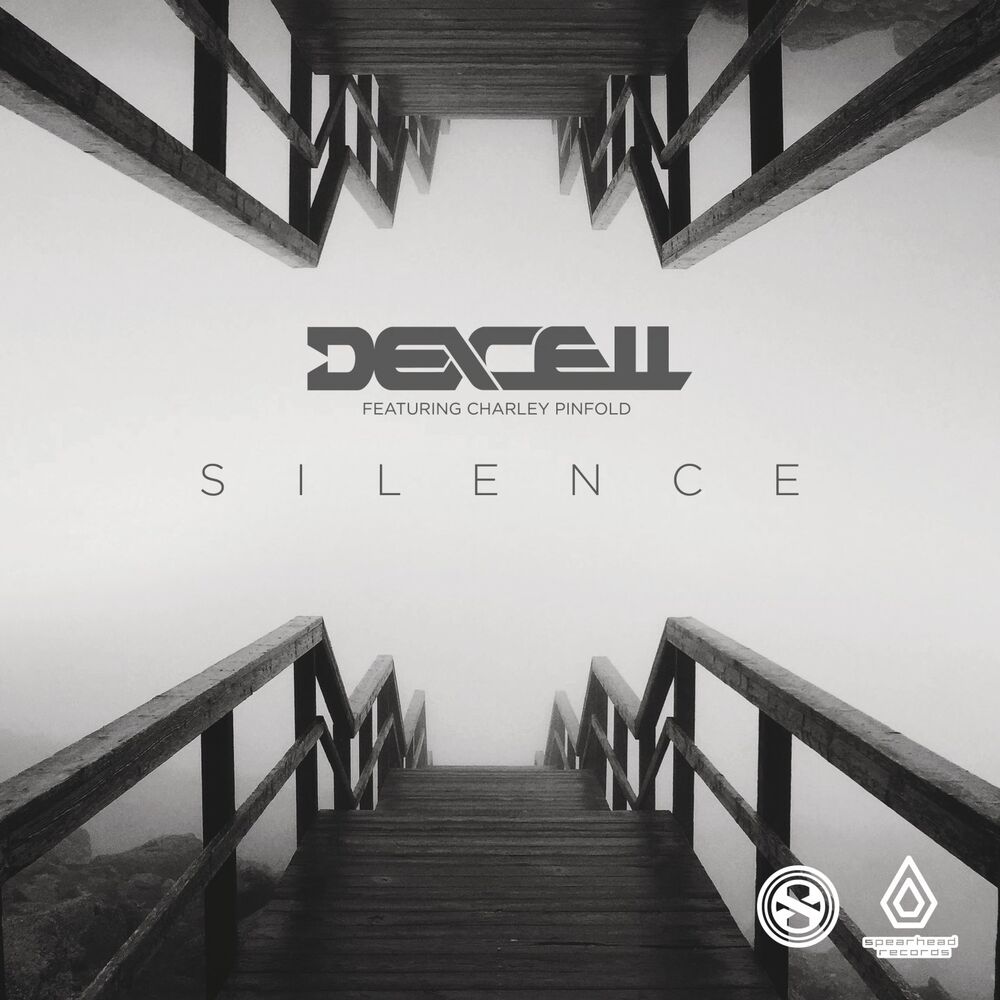 Picture of Silence